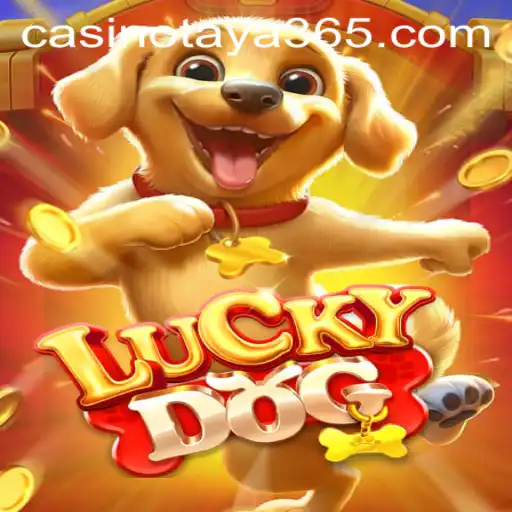 LuckyDog: A Thrilling Adventure with Taya365